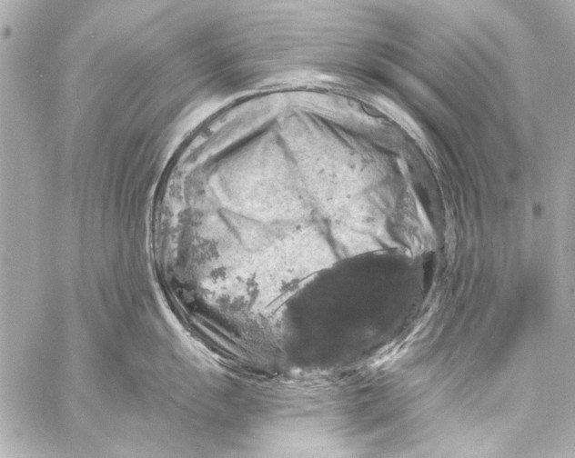 X0000057071055200510071427