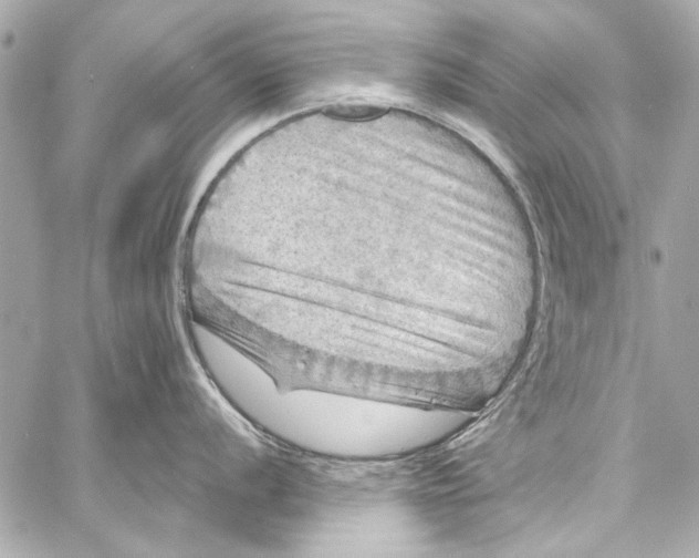 X0000057071056200510071427