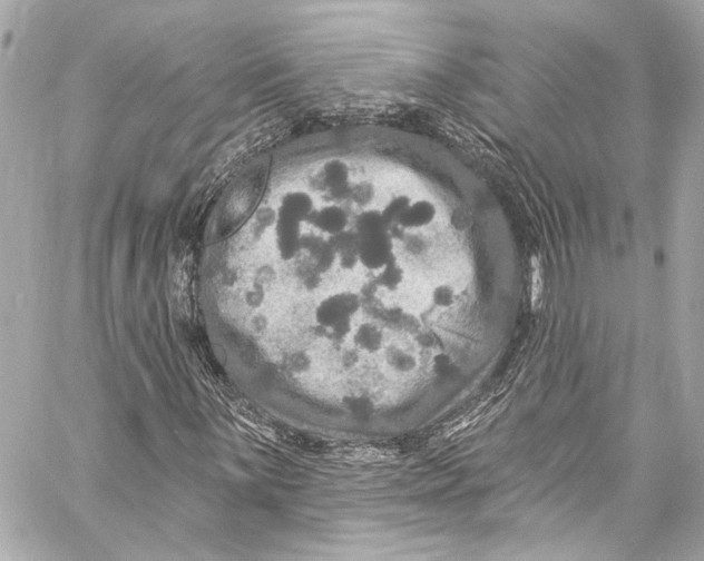 X0000057071059200510071427