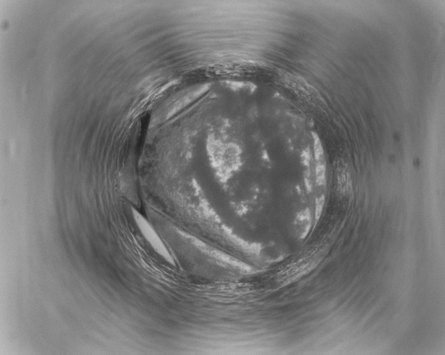 X0000057071060200510071427