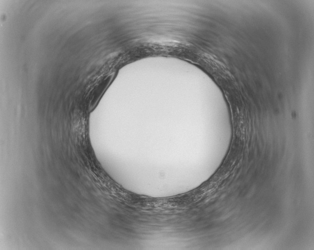 X0000057071061200510071427