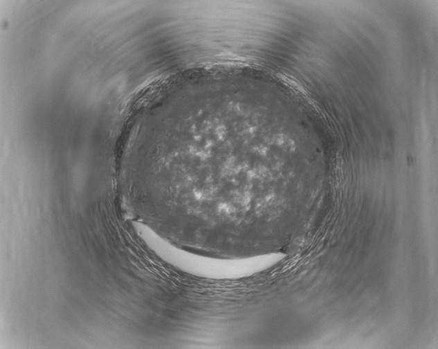 X0000057071063200510071427