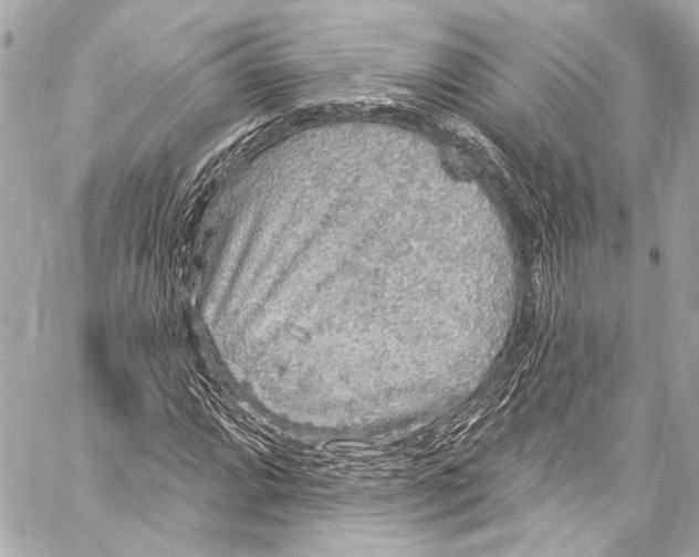 X0000057071064200510071426