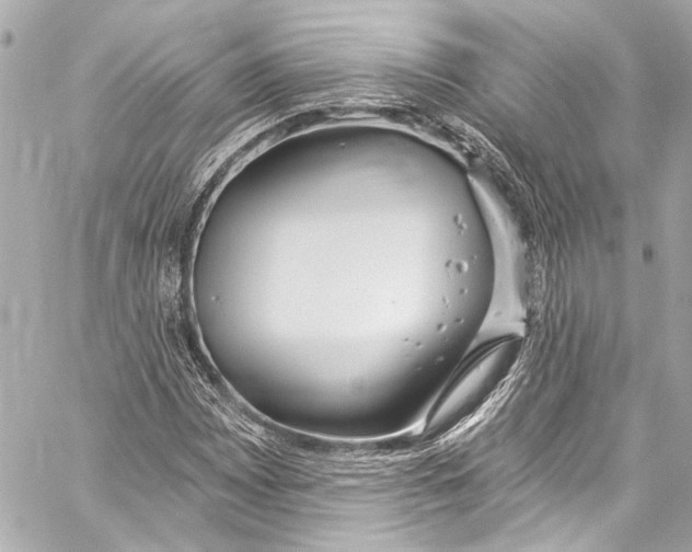 X0000057071065200510071426