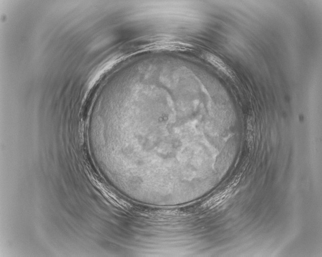 X0000057071067200510071426