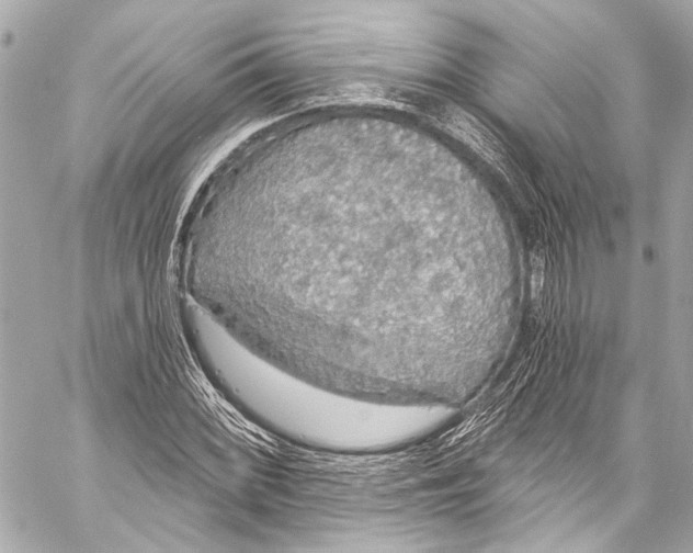 X0000057071068200510071426