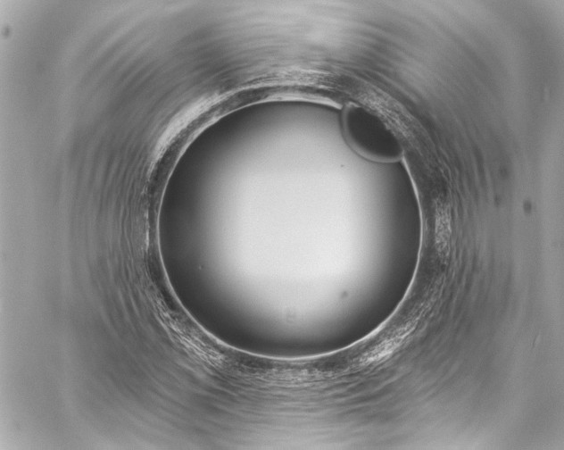 X0000057071069200510071426