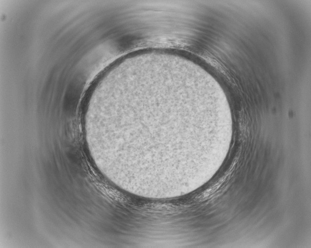 X0000057071070200510071426