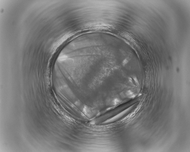 X0000057071071200510071426