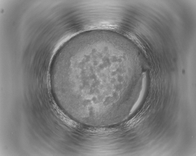 X0000057071072200510071426