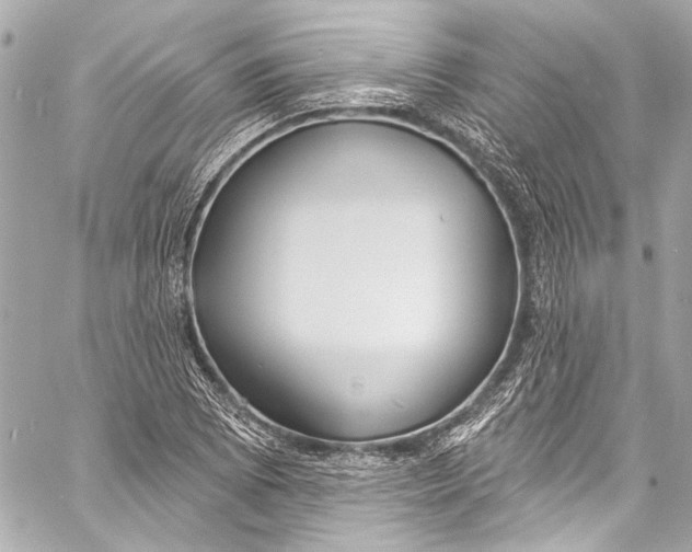 X0000057071073200510071426