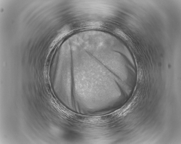 X0000057071074200510071426