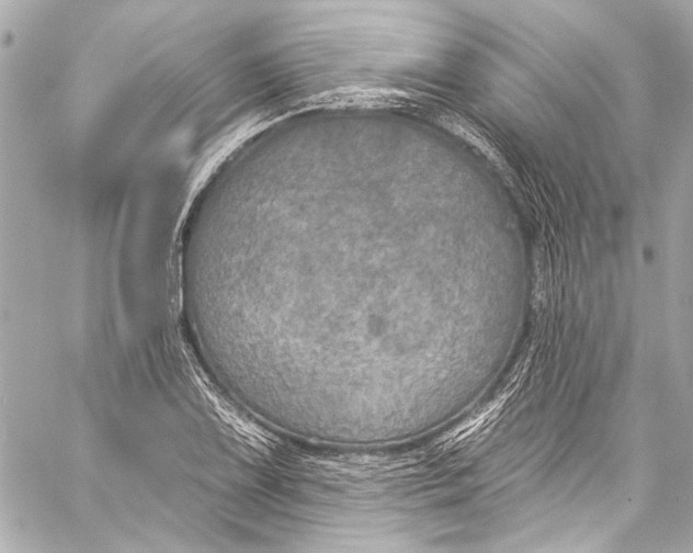 X0000057071075200510071426