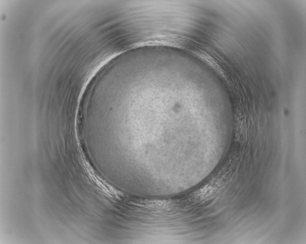 X0000057071076200510071426