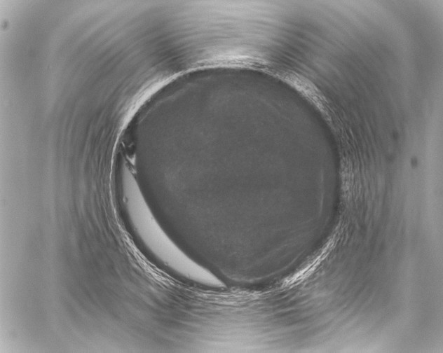 X0000057071077200510071426