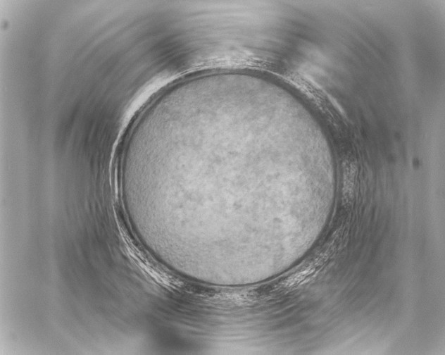 X0000057071078200510071426