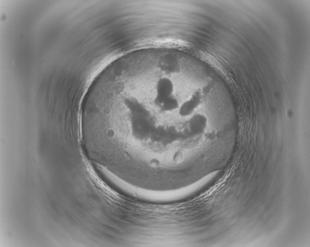 X0000057071079200510071426