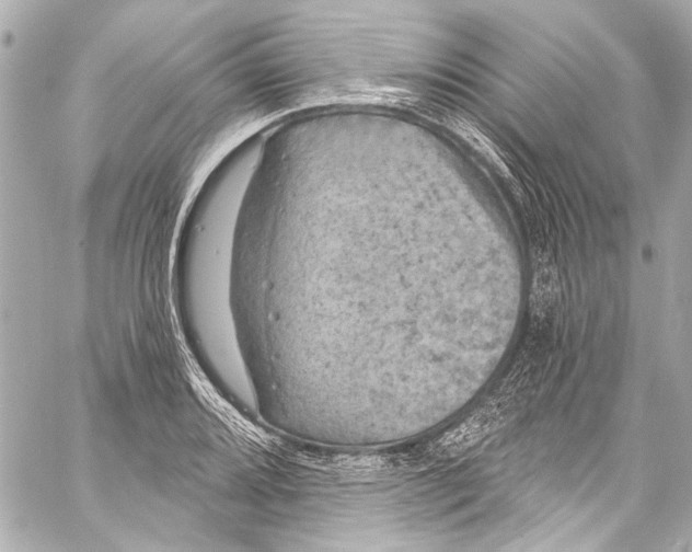 X0000057071080200510071426