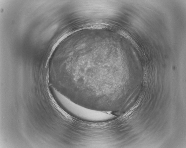 X0000057071083200510071426