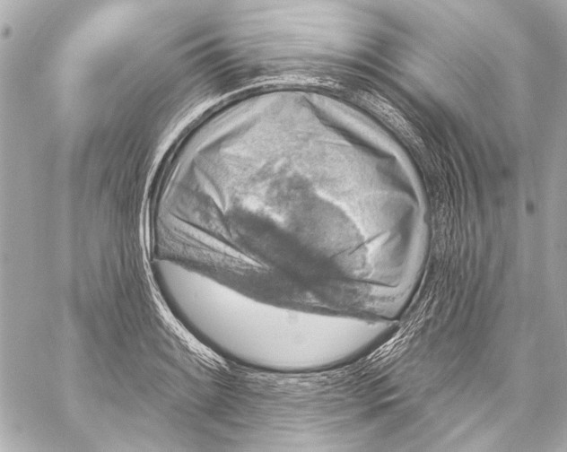 X0000057071084200510071426