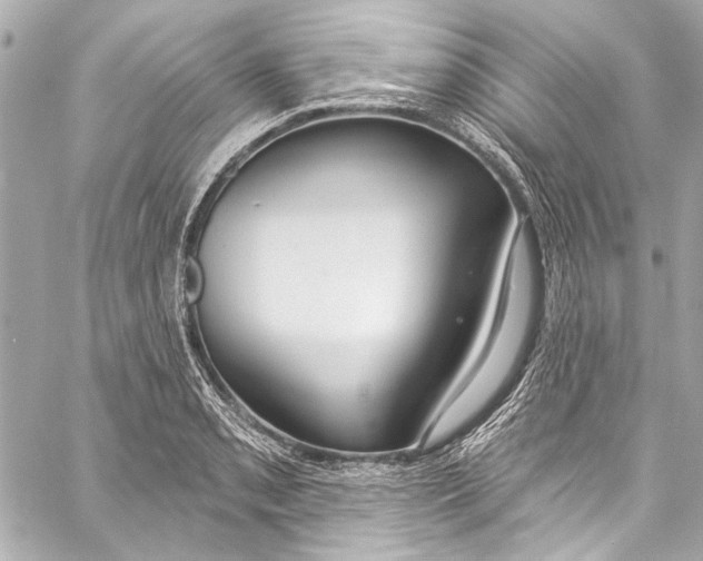 X0000057071085200510071426