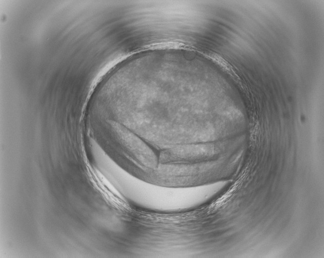 X0000057071086200510071426