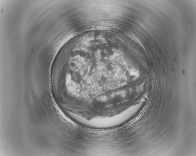 X0000057071087200510071426