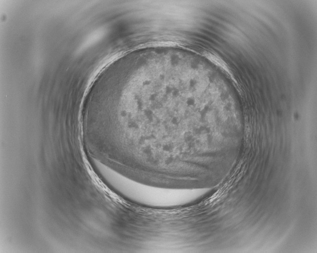 X0000057071088200510071426