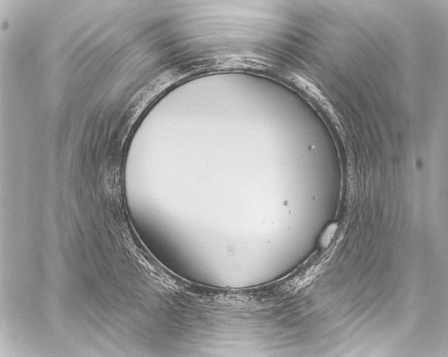 X0000057071089200510071426