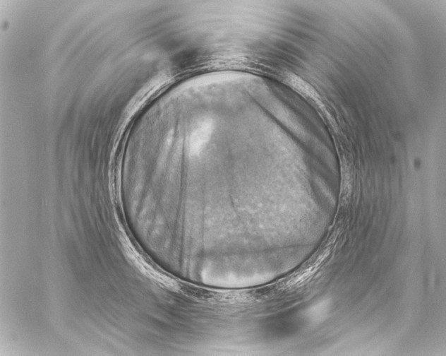 X0000057071090200510071426