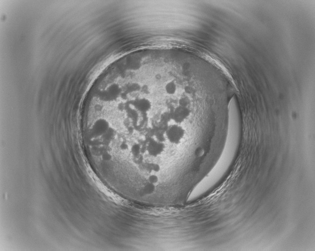 X0000057071091200510071426