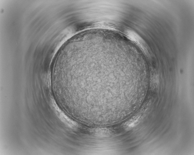 X0000057071092200510071426