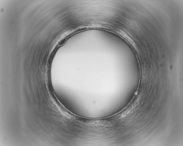 X0000057071093200510071426