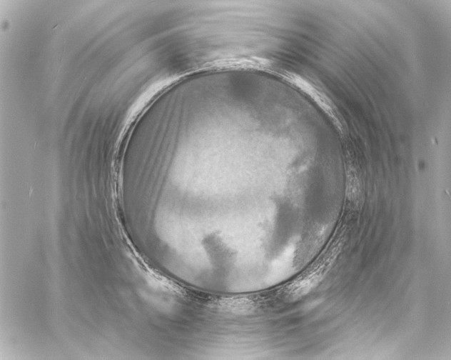 X0000057071094200510071426