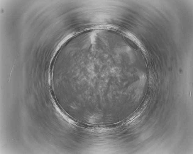 X0000057071095200510071426