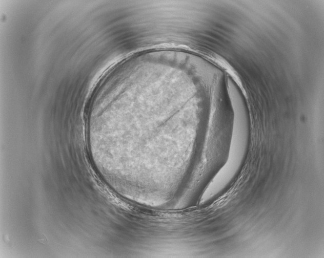 X0000057071096200510071426