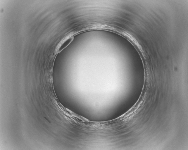 X0000057071097200510071426