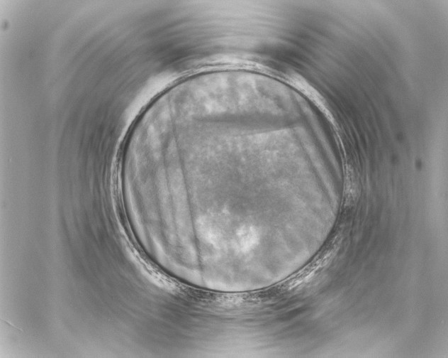 X0000057071098200510071426