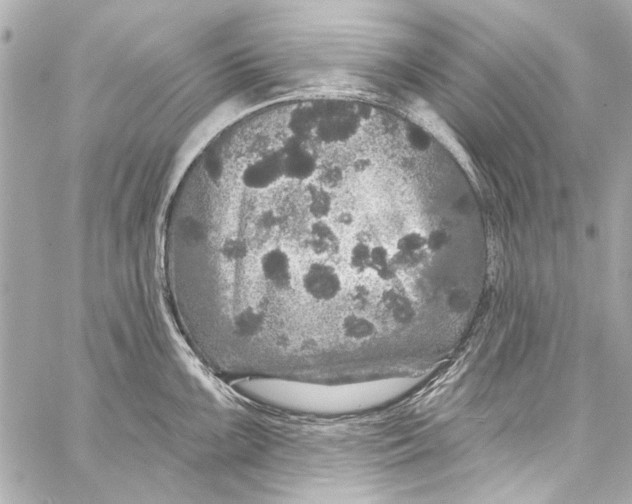 X0000057071099200510071426