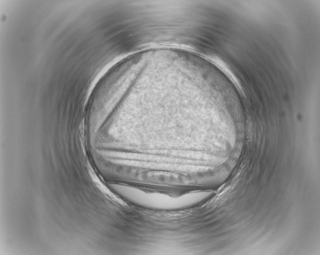 X0000057071100200510071426