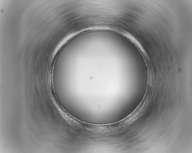 X0000057071101200510071426