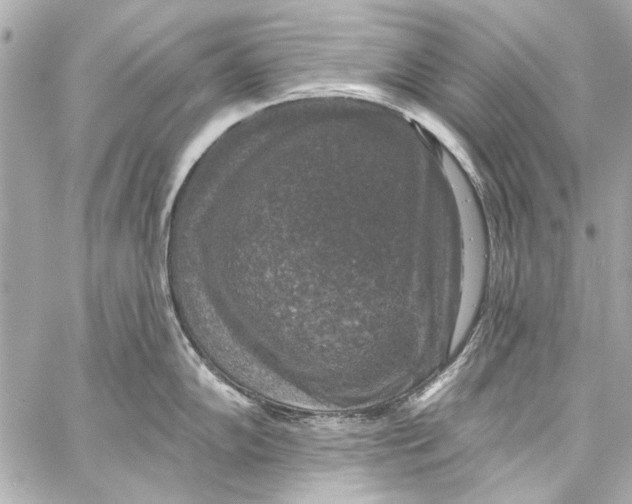 X0000057071102200510071426