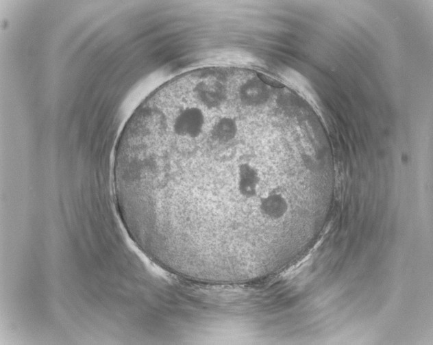 X0000057071103200510071426