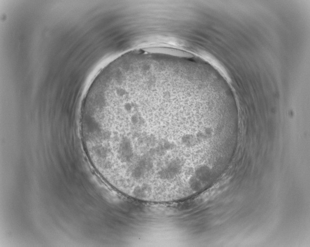 X0000057071104200510071426