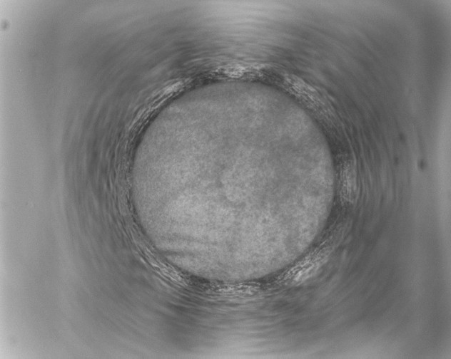 X0000057071105200510071425