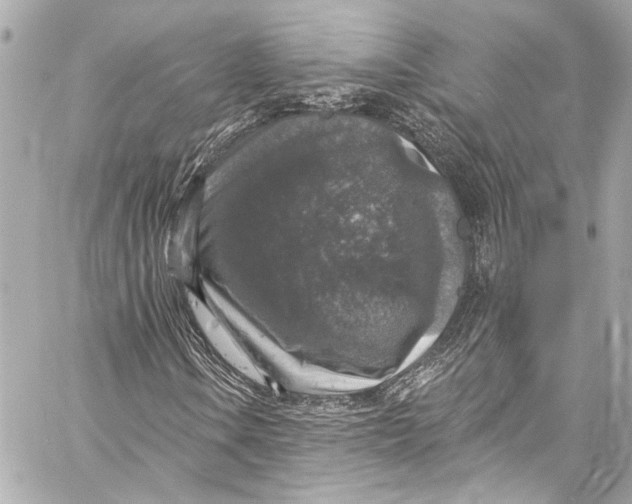 X0000057071106200510071425