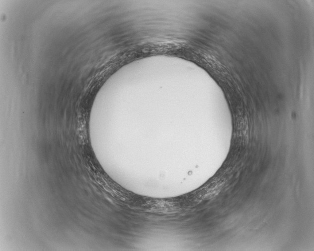 X0000057071109200510071425