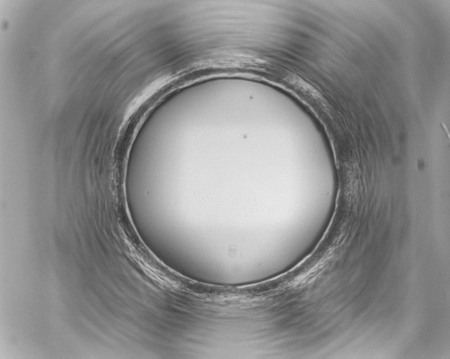 X0000057071114200510071425