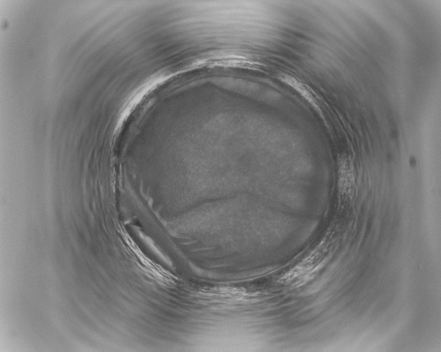 X0000057071115200510071425