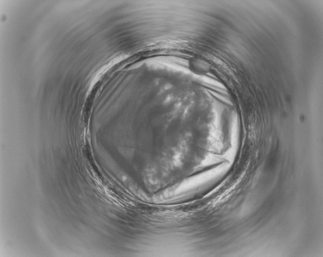 X0000057071117200510071425